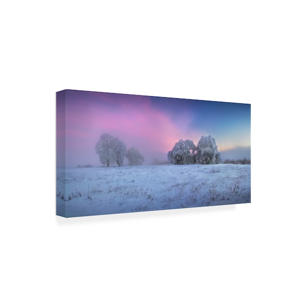 Sergei Shabunevich 'Trees Covered In Snow' Canvas Art,16x32